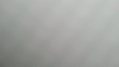 4950