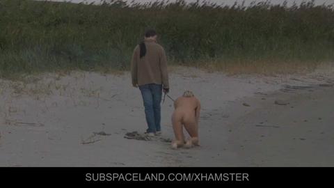 9951