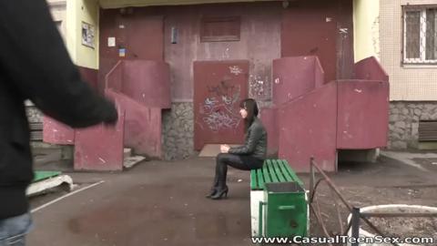23293